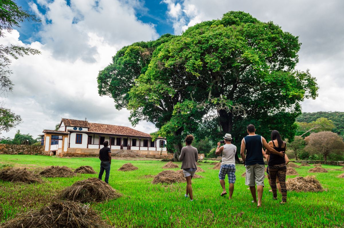 Group Of Adults Walking Along Grass Field